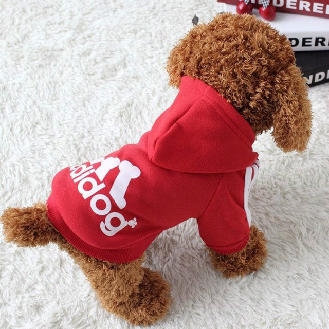 Dog Sweatshirt